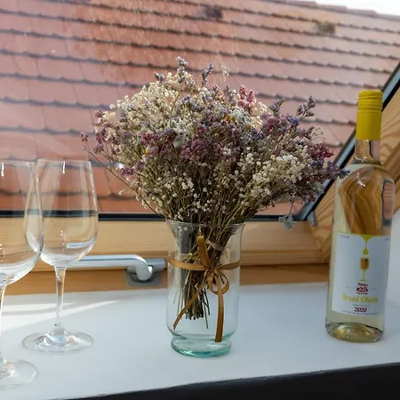 Takacs Pince Apartment *
